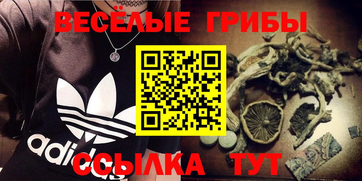 Галлюциногенные грибы мухоморы Череповец