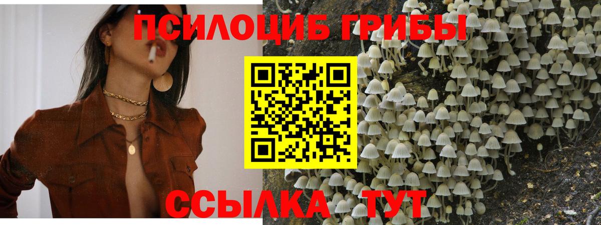 цена наркотик  Вход с VPN  Череповец  Псилоцибиновые грибы MAGIC MUSHROOMS 
